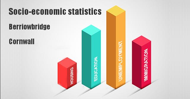 Socio-economic statistics for Berriowbridge, Cornwall