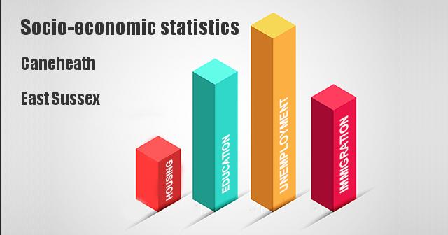 Socio-economic statistics for Caneheath, East Sussex