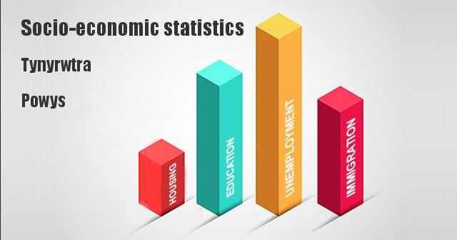 Socio-economic statistics for Tynyrwtra, Powys